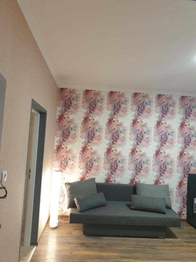 Gasthaus-Aparthotel シュヴェーアテ エクステリア 写真
