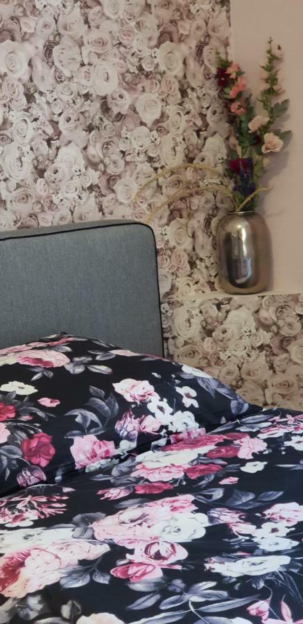 Gasthaus-Aparthotel シュヴェーアテ エクステリア 写真
