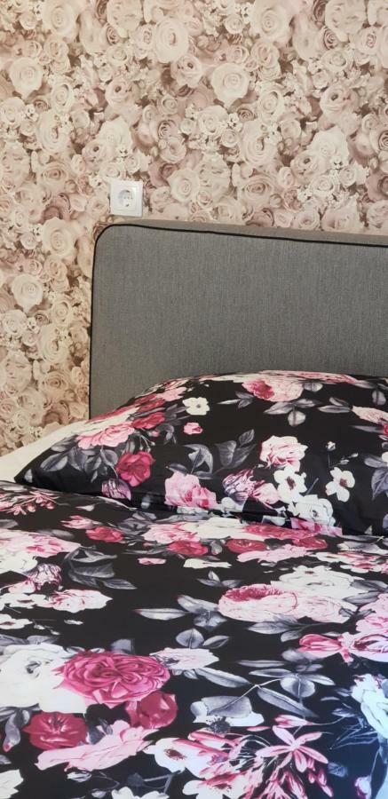 Gasthaus-Aparthotel シュヴェーアテ エクステリア 写真